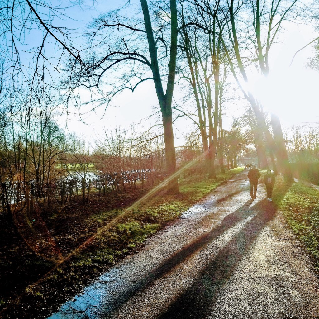 Terry Avenue Disappointment