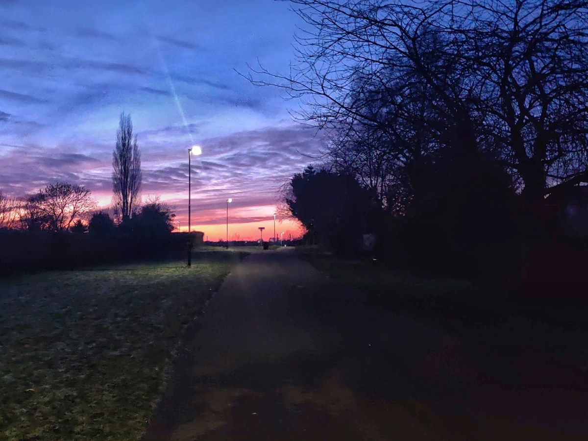 February 2021 Newsletter