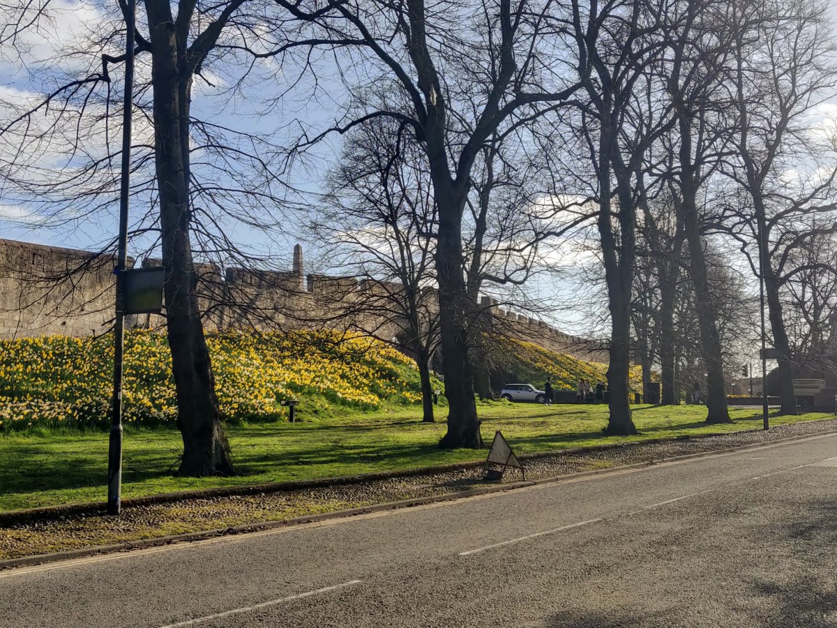 April 2021 Newsletter