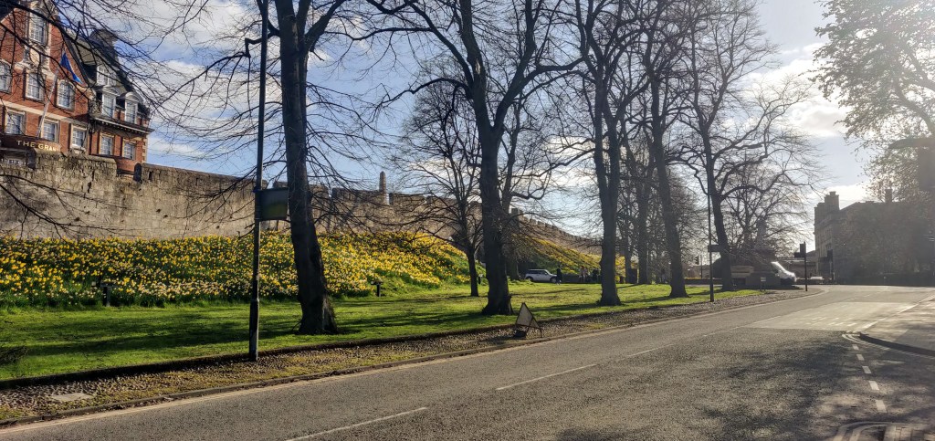 April 2021 Newsletter