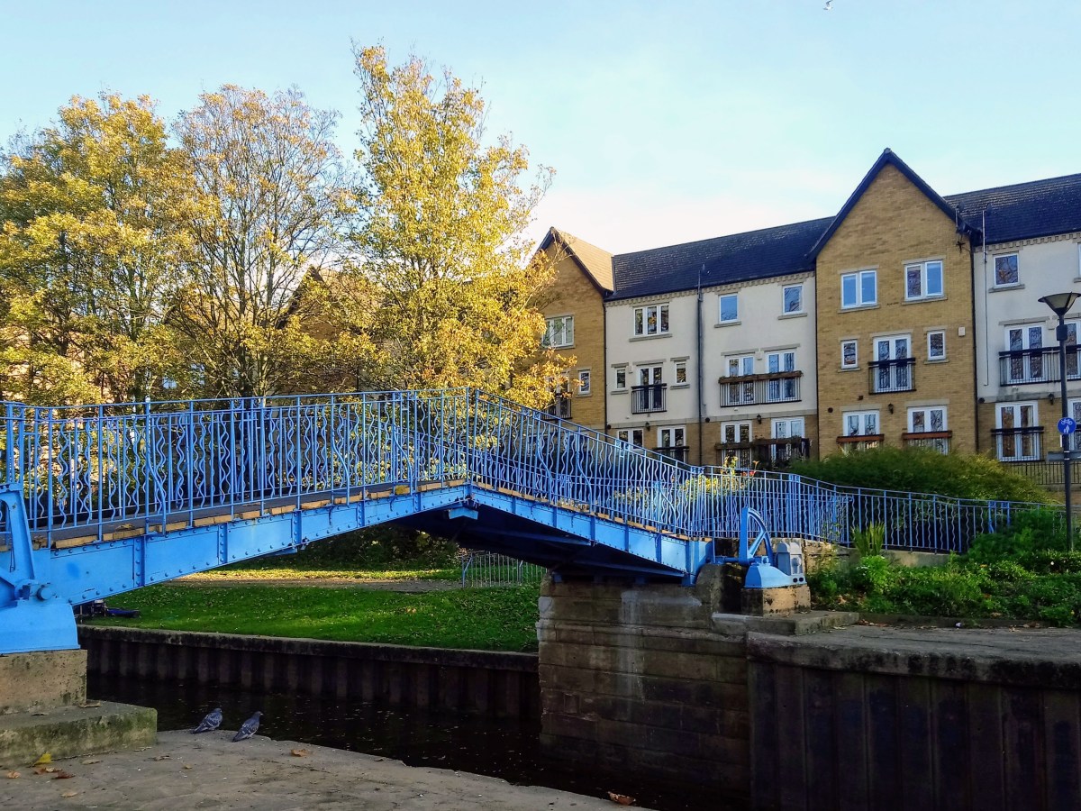 November 2021 Newsletter