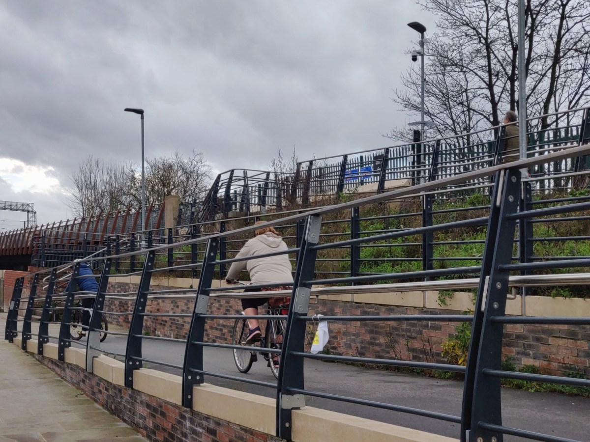 January 2022 Newsletter