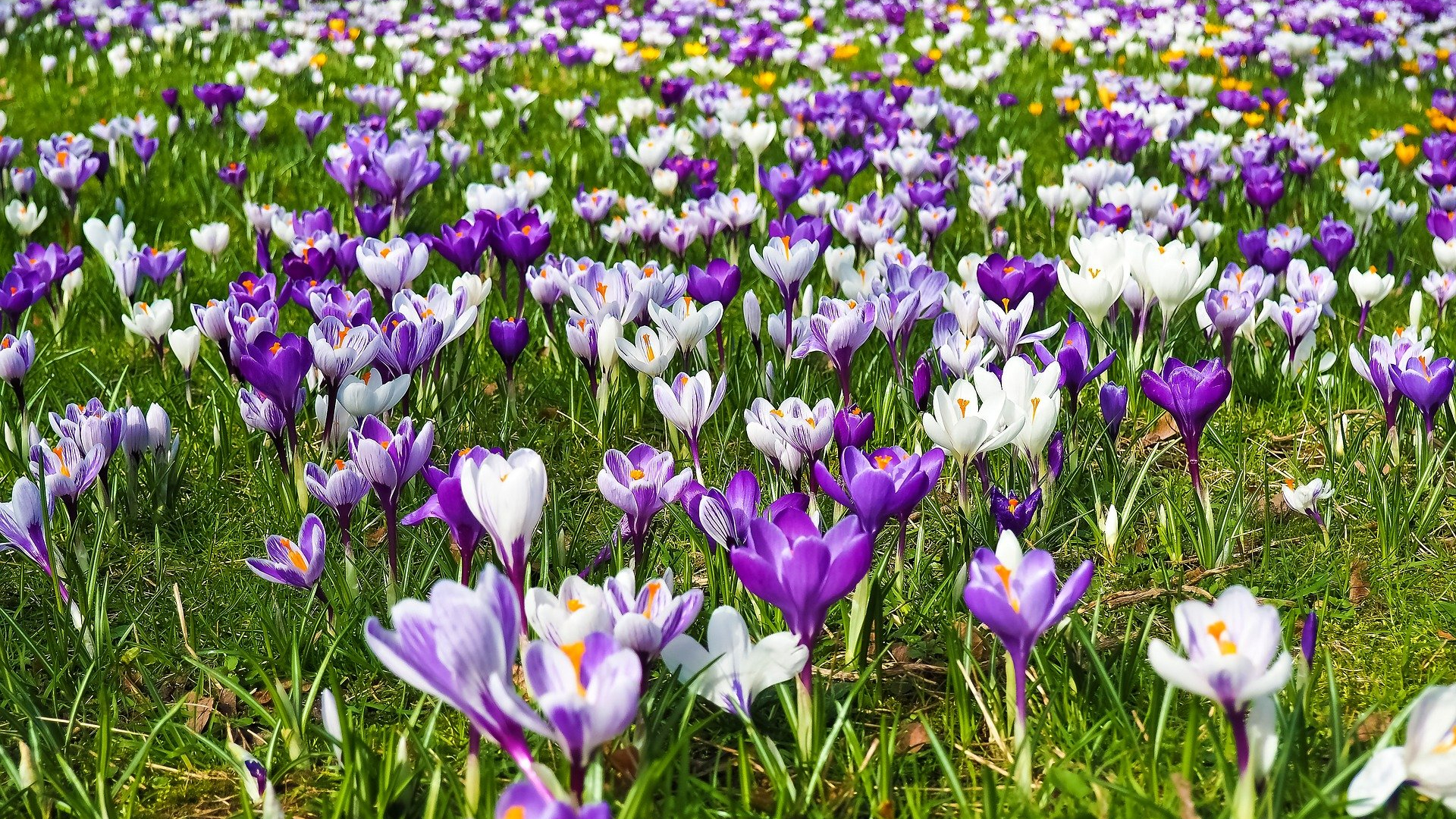 March 2022 Newsletter