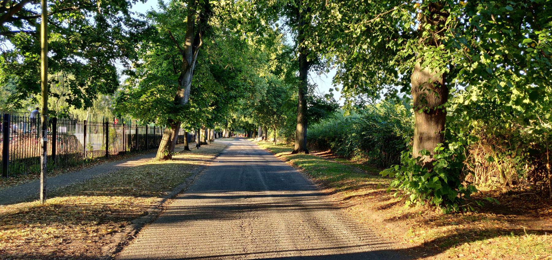 August 2022 Newsletter