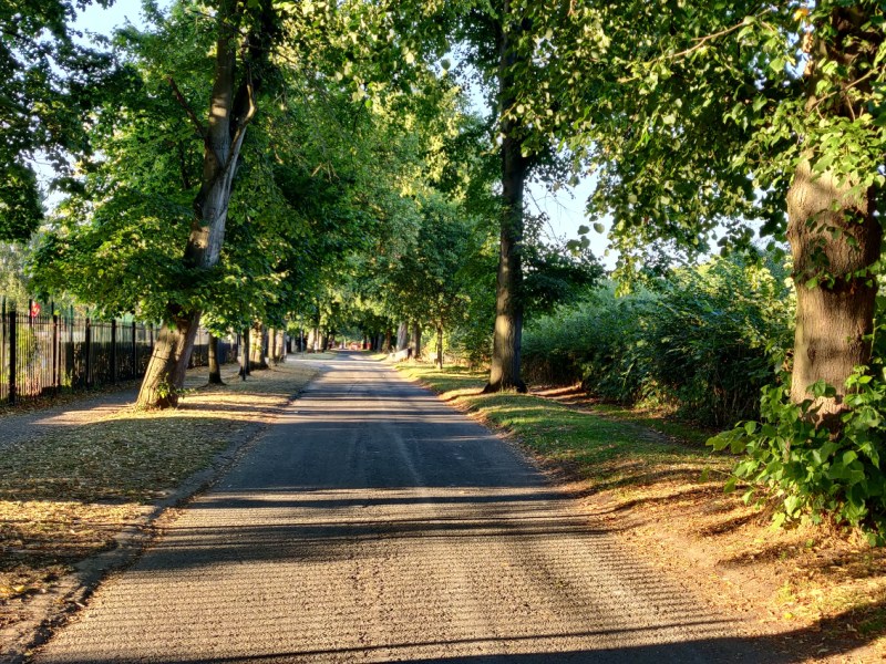 August 2022 Newsletter