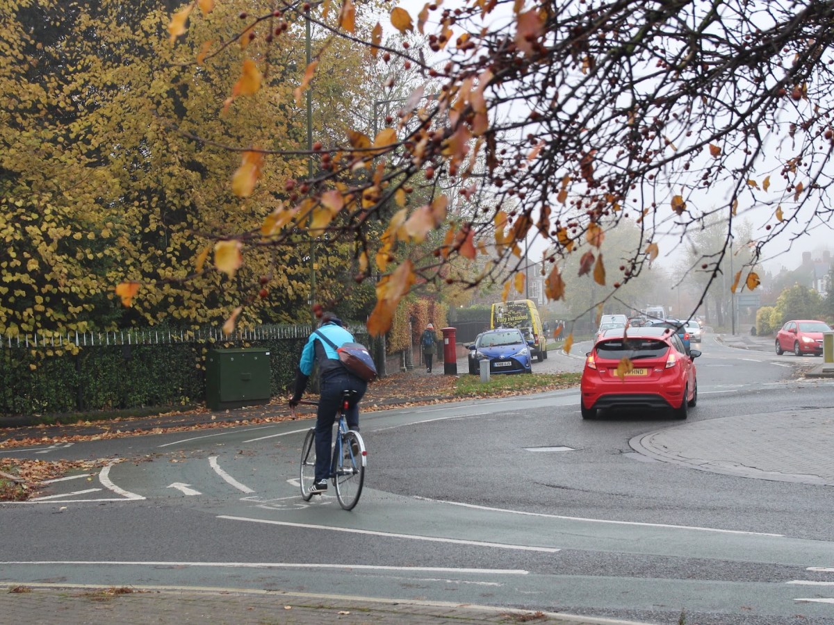 November 2022 Newsletter