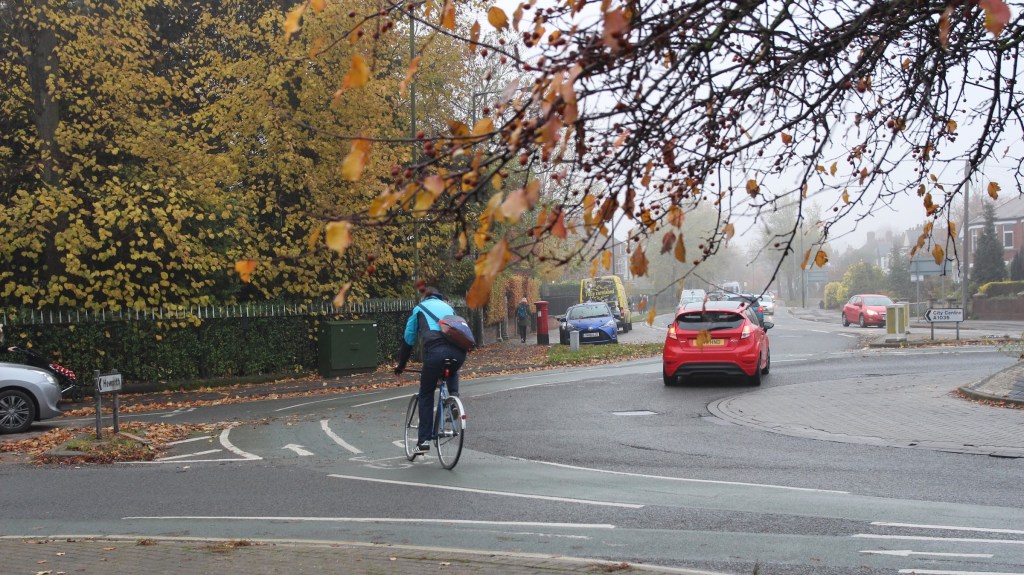 November 2022 Newsletter