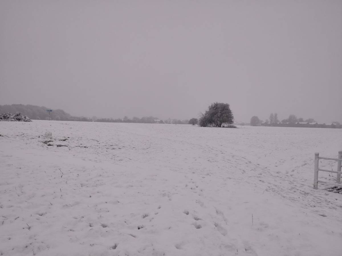 January 2025 Newsletter