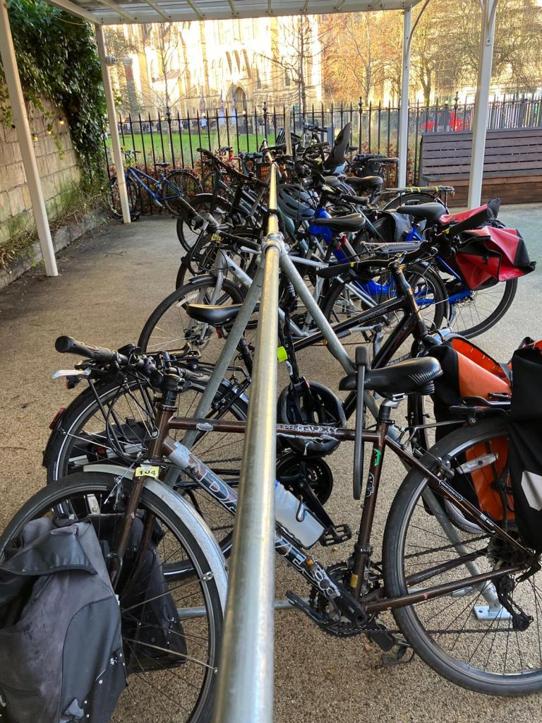 A row of parked bicycles under a shelter in an urban area, with a backdrop of a building and greenery.