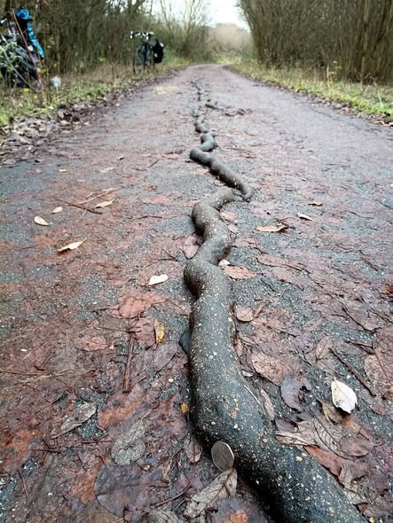 Photograph of hot chocolate drink.
